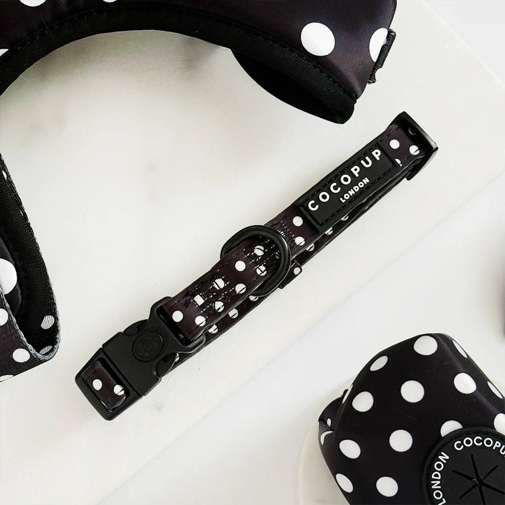 Polka Dot COLLAR