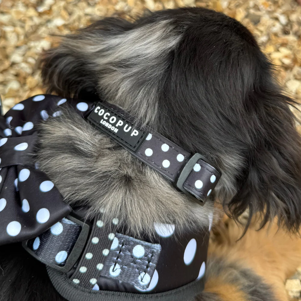 Polka Dot COLLAR - Image 2
