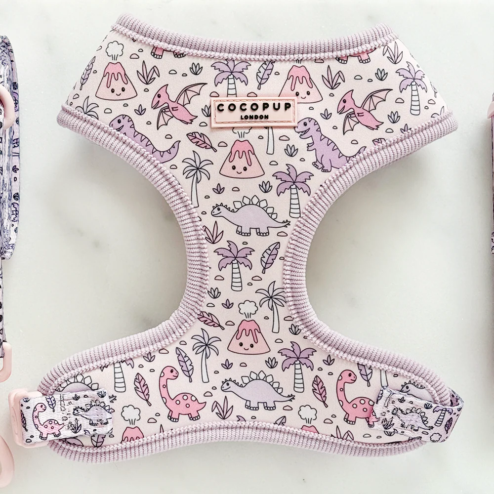Princess Dino Adjustable Neck HARNESS
