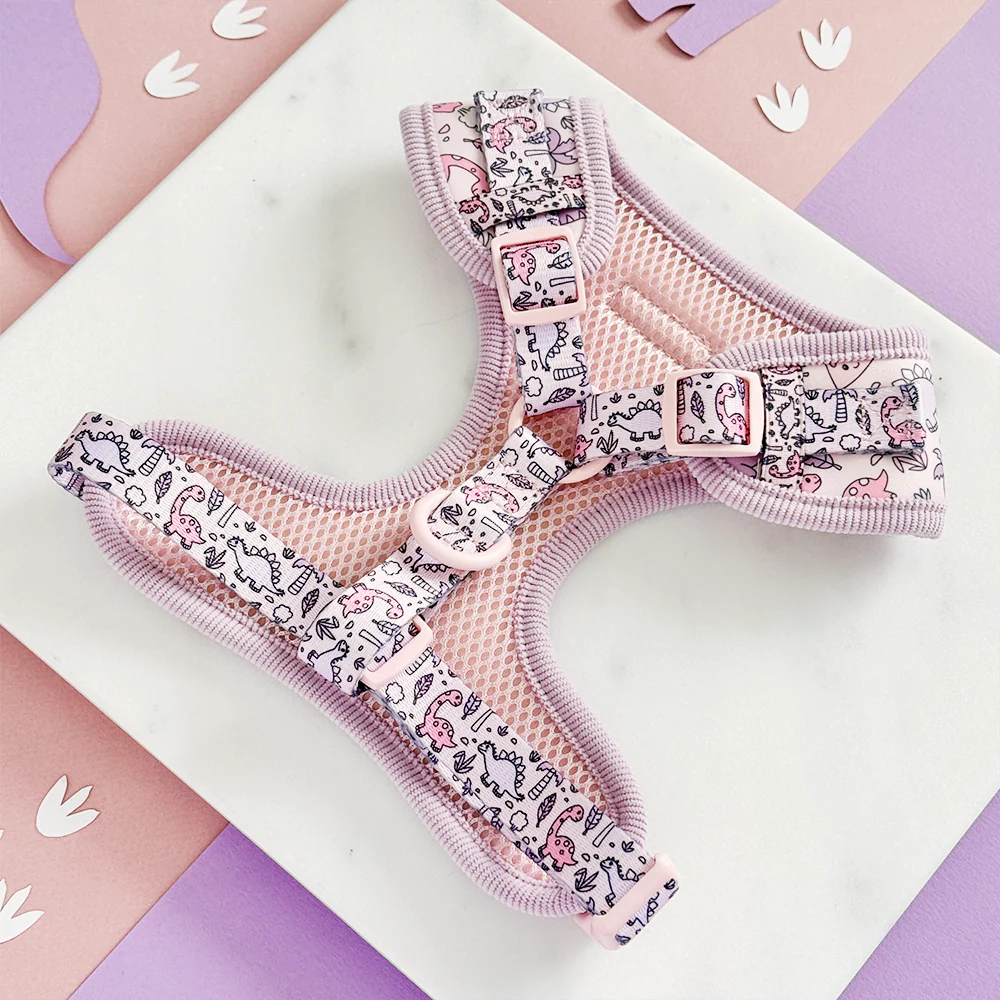 Princess Dino Adjustable Neck HARNESS - Image 2