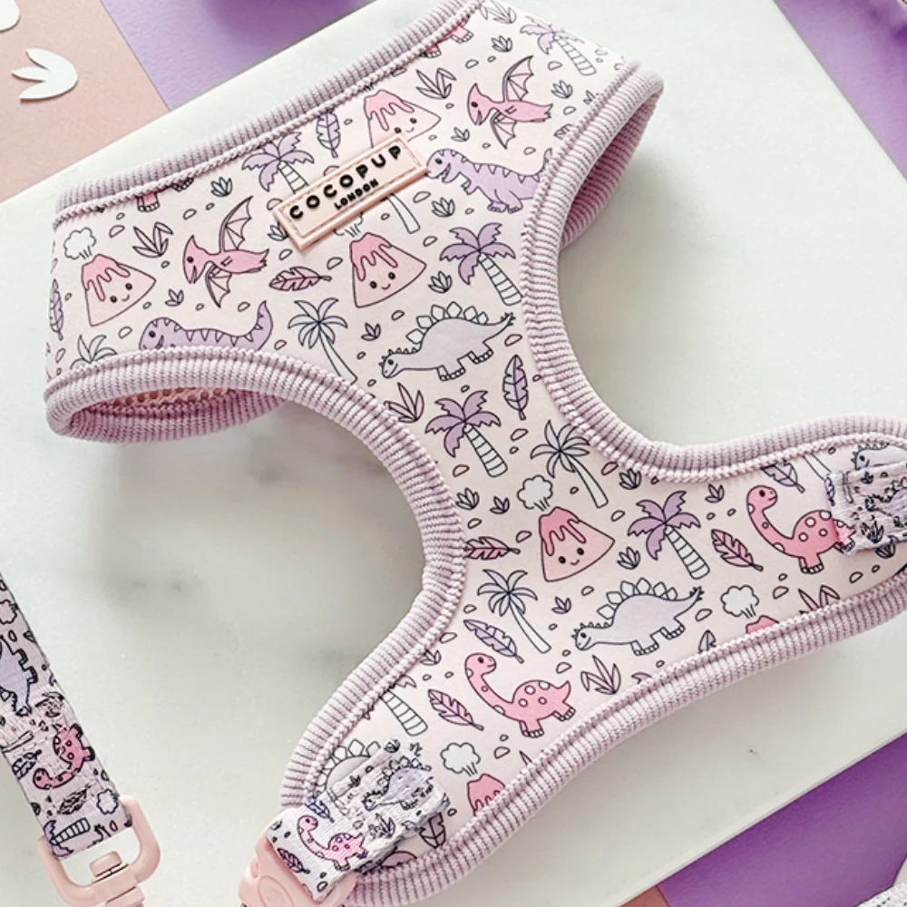 Princess Dino Adjustable Neck HARNESS - Image 3