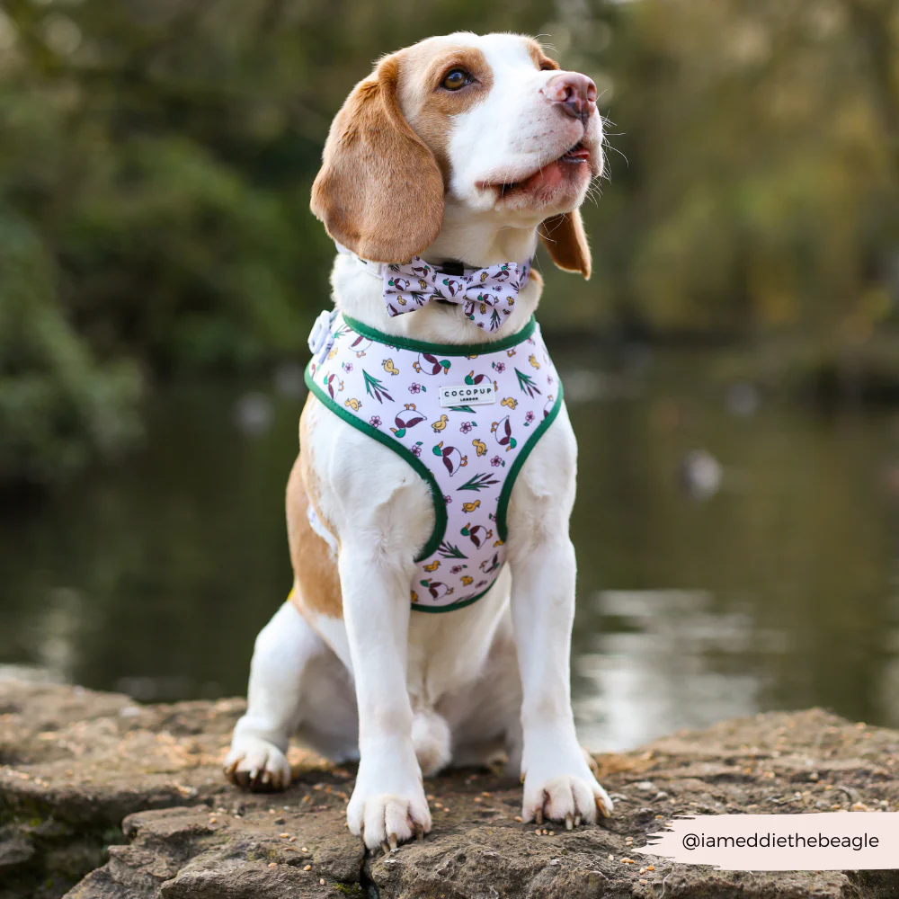 Puddle Pup Adjustable Neck HARNESS - Image 8