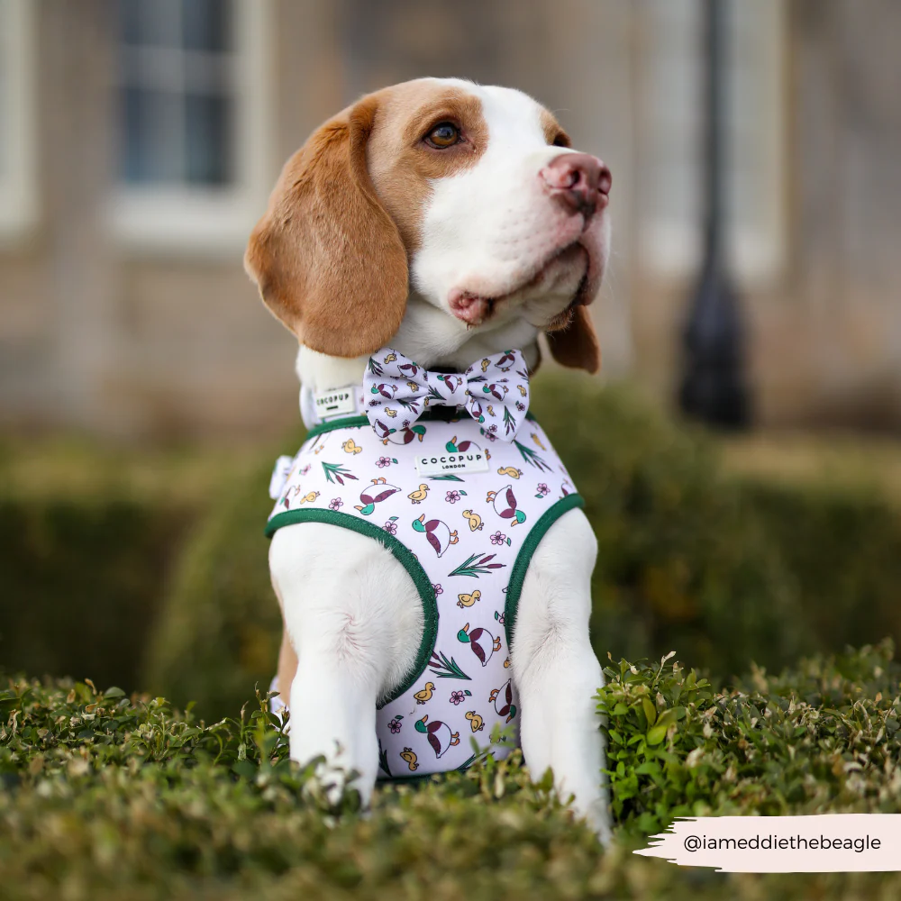 Puddle Pup Adjustable Neck HARNESS - Image 6