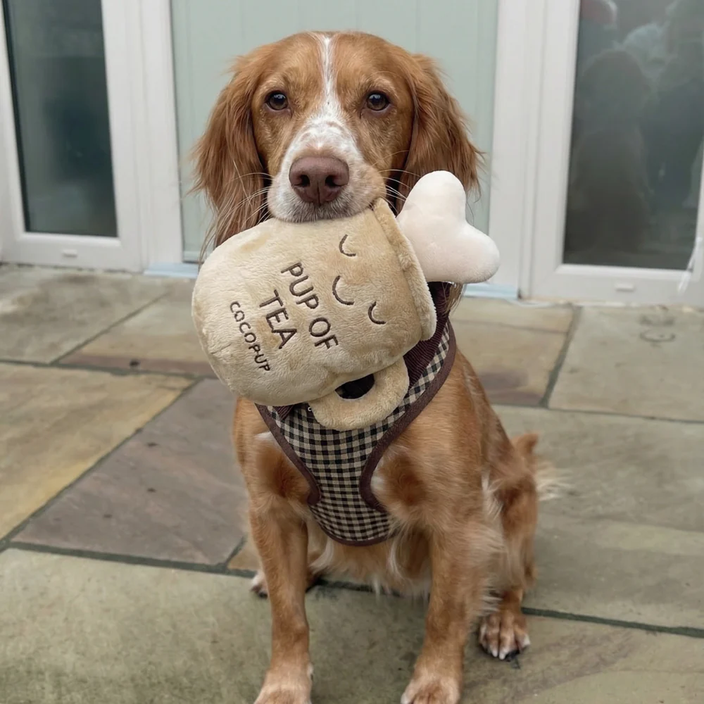 Pup of Tea Dog Toy - Image 3