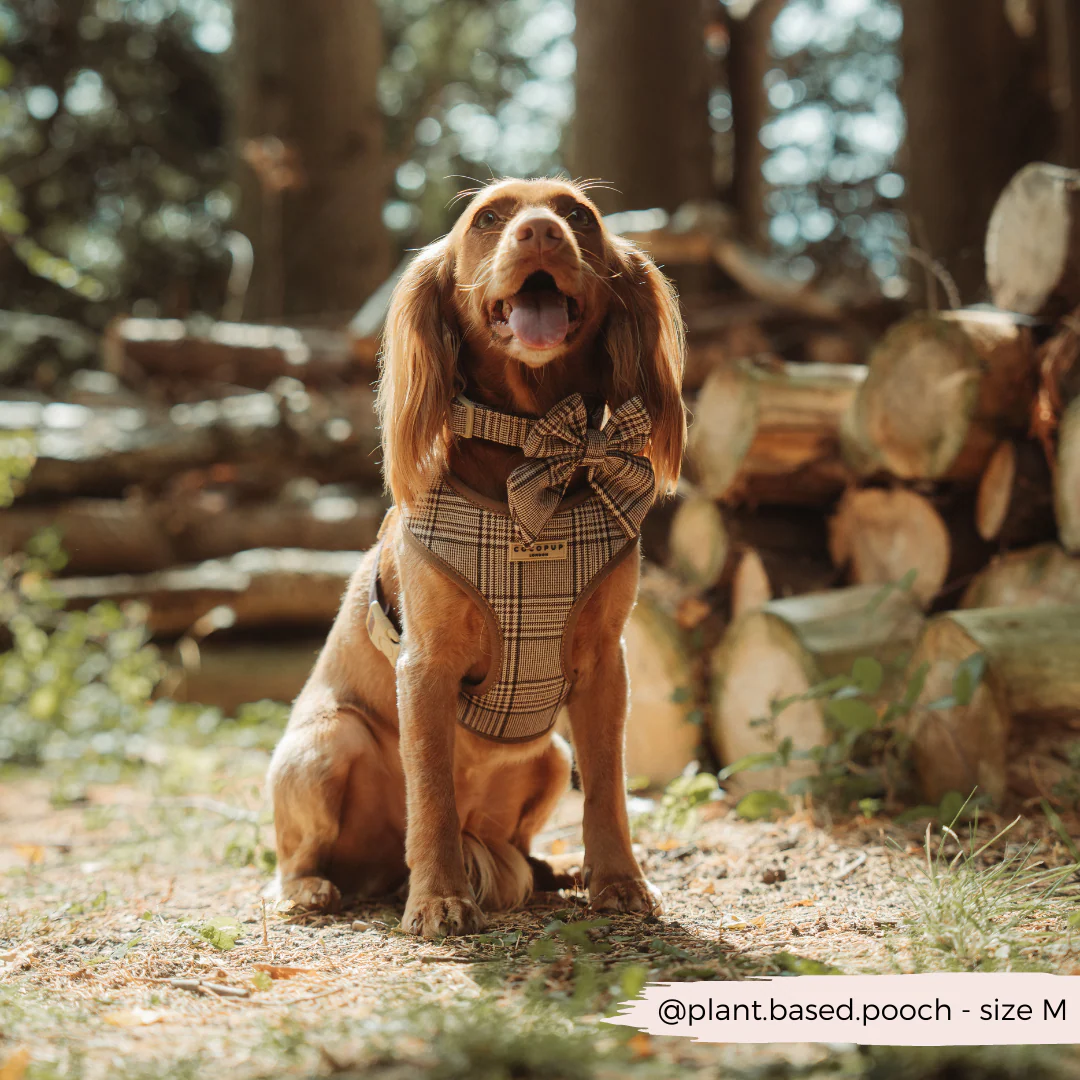 Pup Plaid Adjustable Neck HARNESS - Image 7