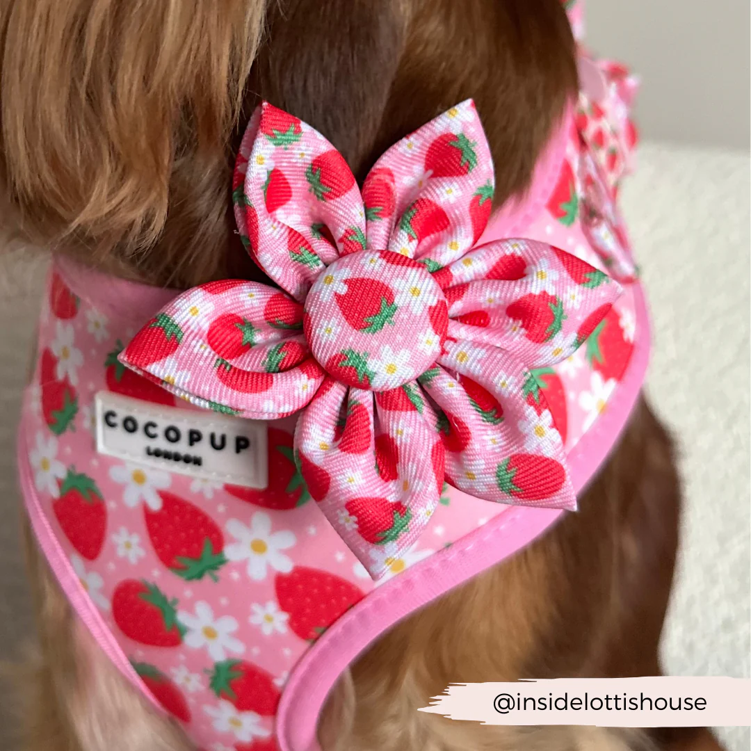 Pupberry Fields Collar Flower - Image 3
