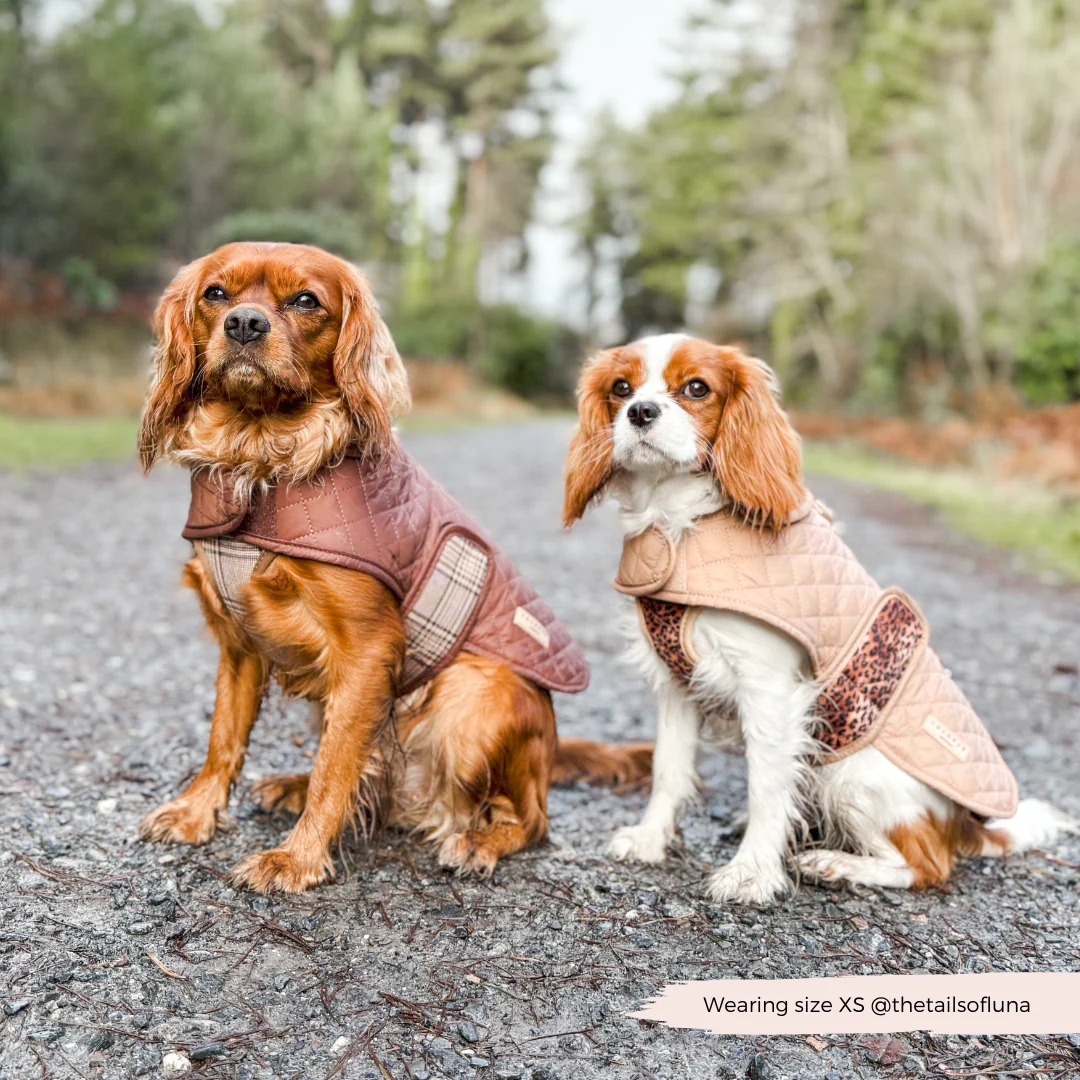 Quilted Dog Coat - Leopard Pup - Image 14