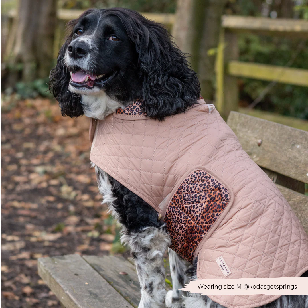 Quilted Dog Coat - Leopard Pup - Image 16