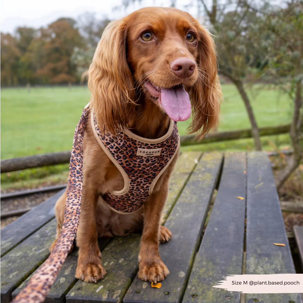 Quilted Leopard Pup Lead - Image 8