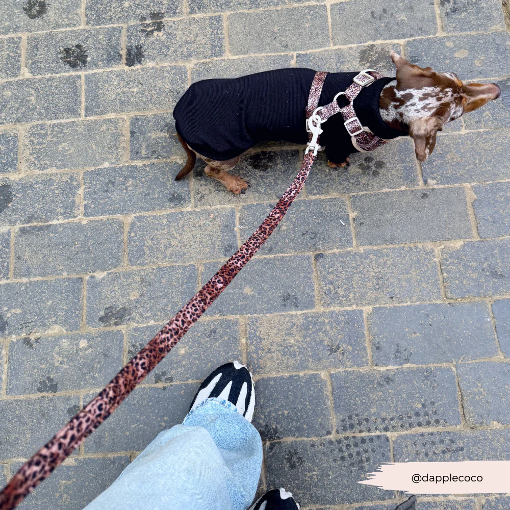 Quilted Leopard Pup Lead - Image 4