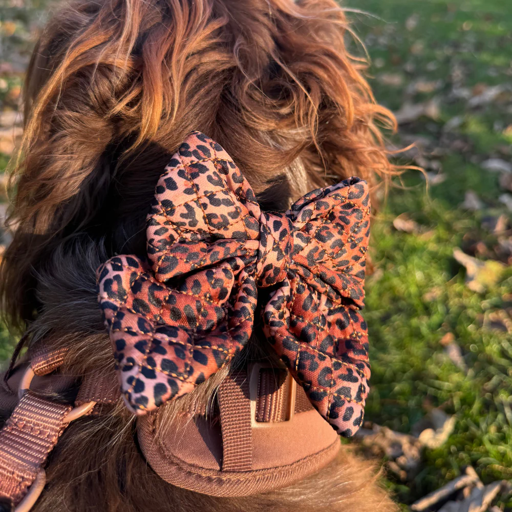 Quilted Leopard Pup Sailor Bow Tie - Image 6
