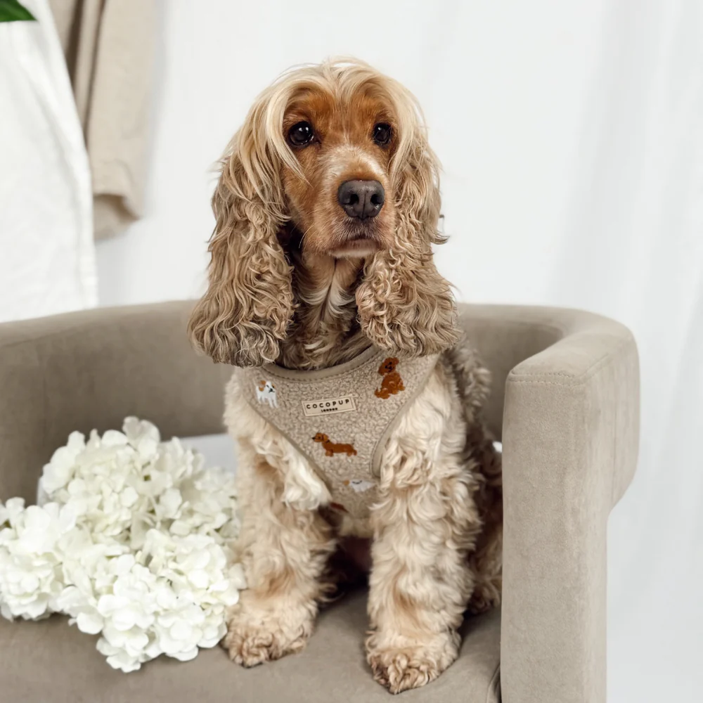 Ralph & Friends Mocha Teddy Adjustable Neck HARNESS - Image 6