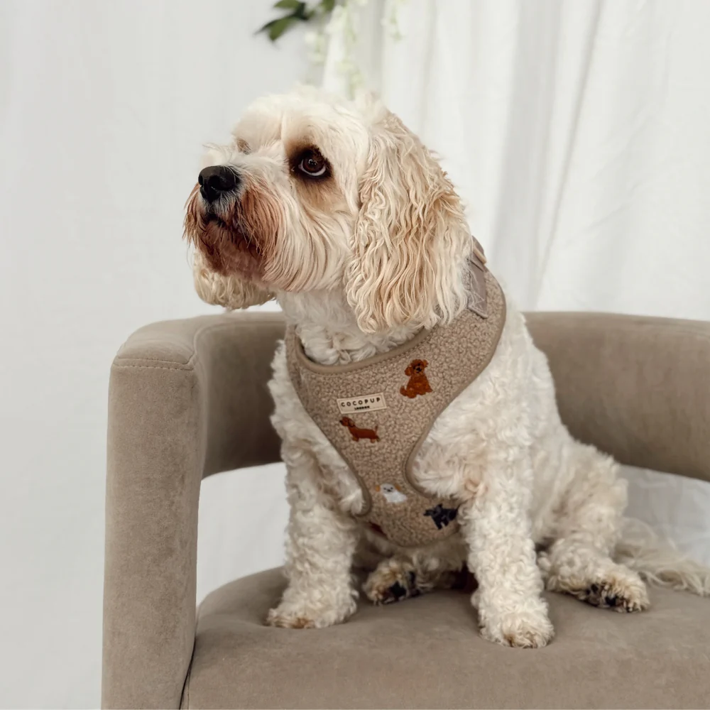 Ralph & Friends Mocha Teddy Adjustable Neck HARNESS - Image 10