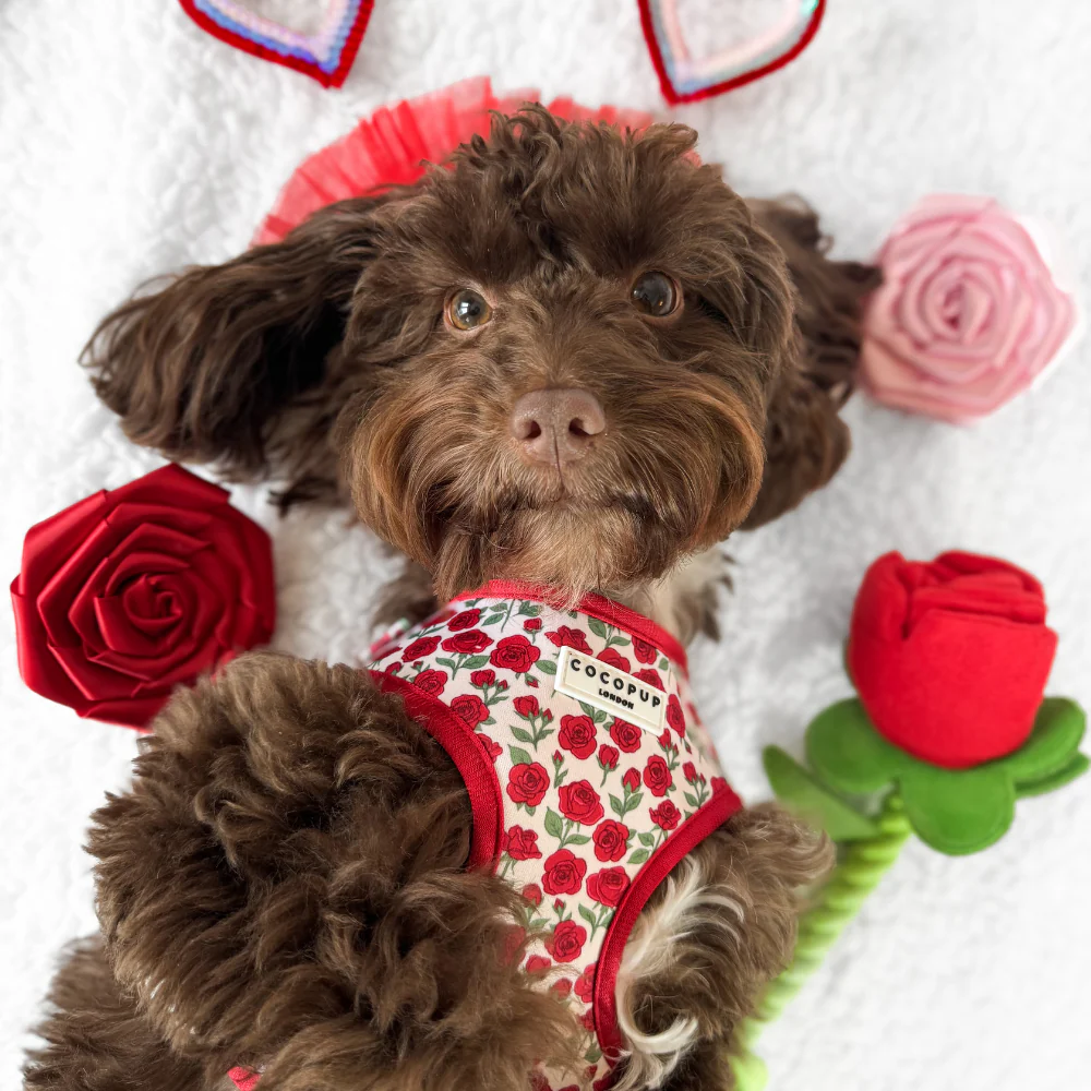 Red Rose Collar Flower - Image 12