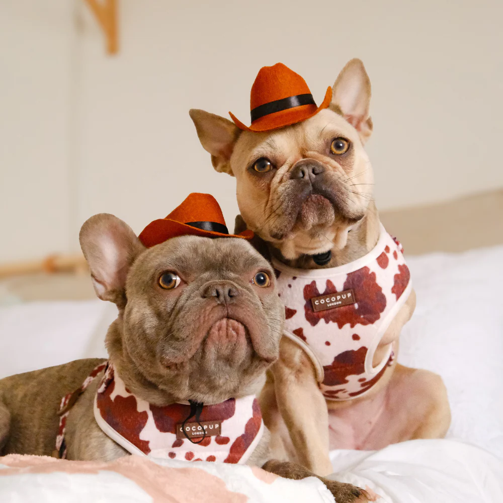 Rodeo Pup Dog Hat - Image 11
