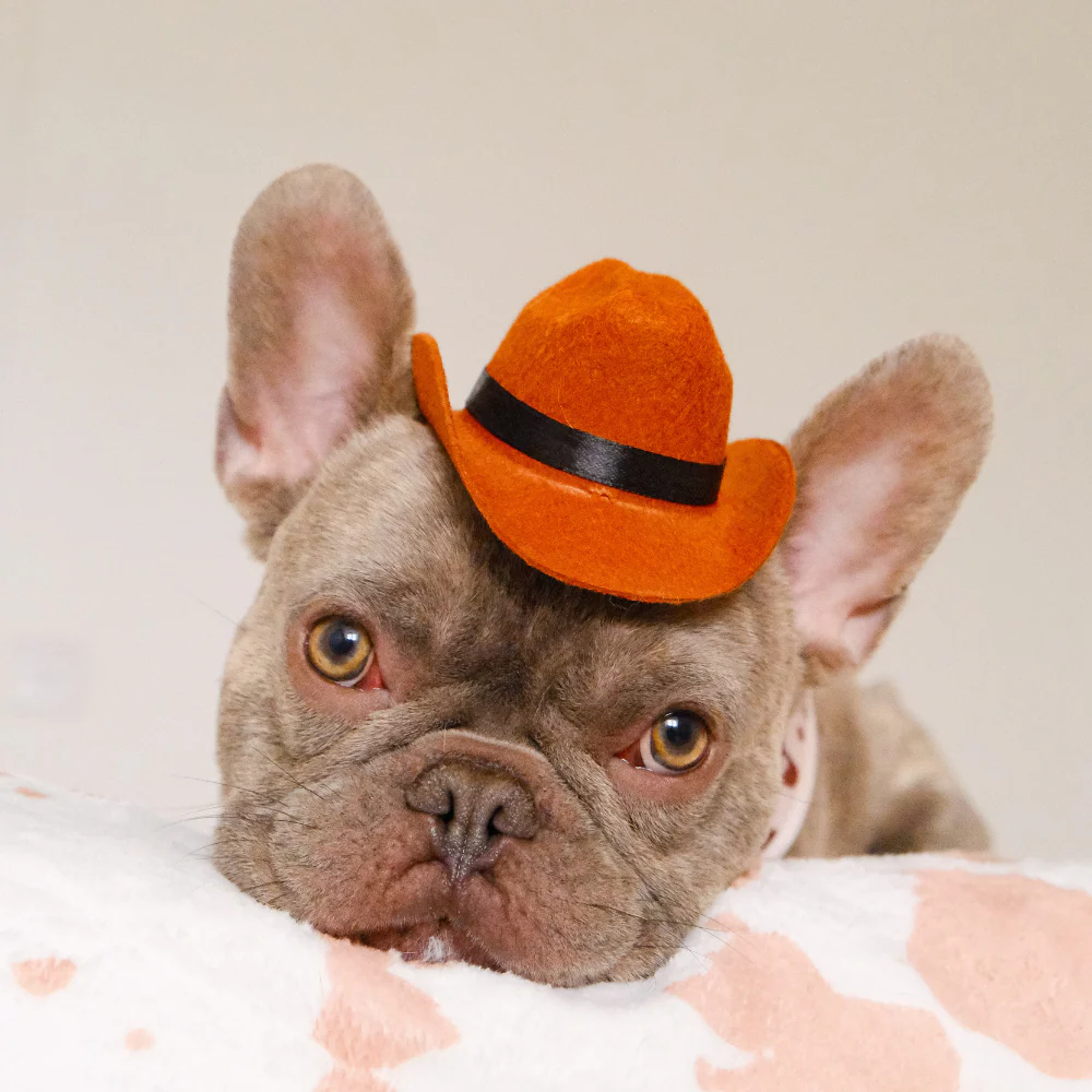 Rodeo Pup Dog Hat - Image 9