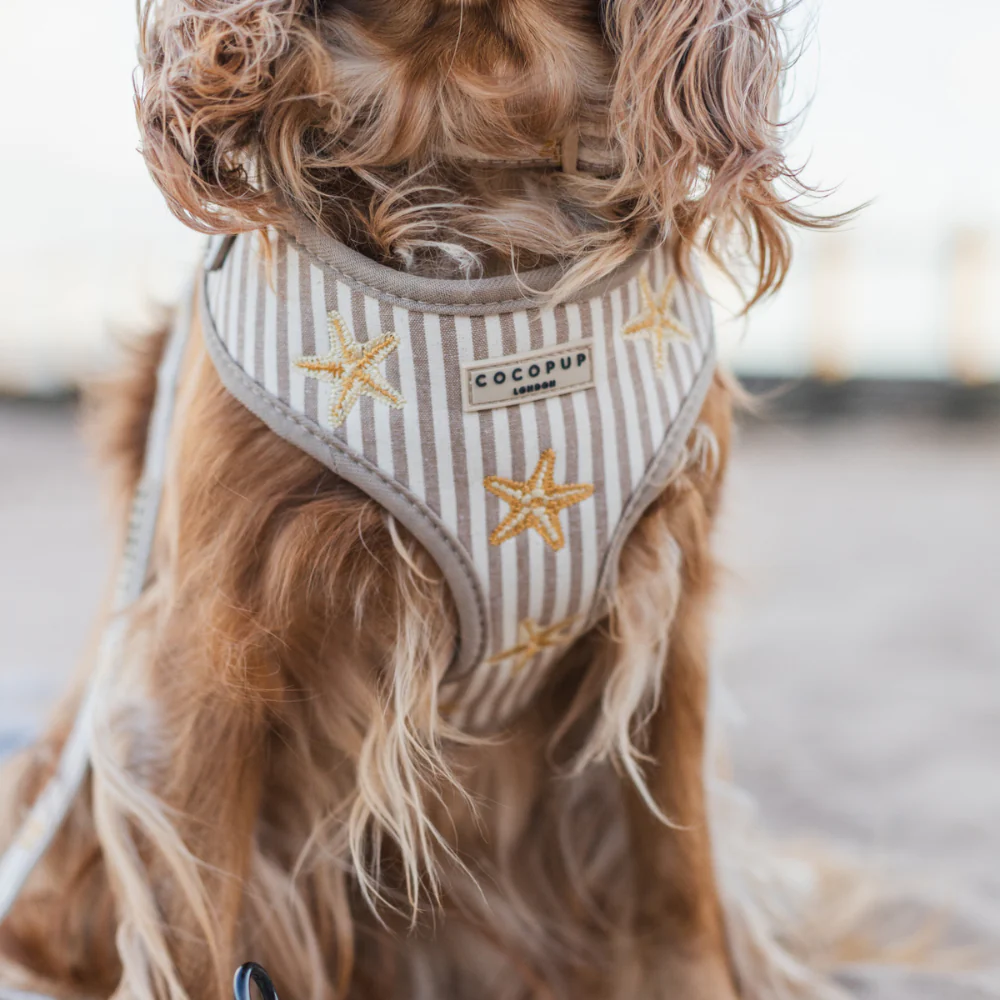 Sandy Starpaws Adjustable Neck HARNESS - Image 7