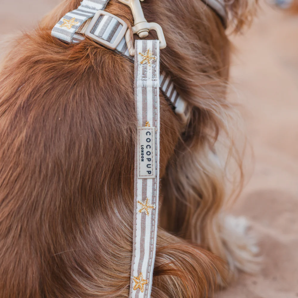 Sandy Starpaws Lead - Image 2
