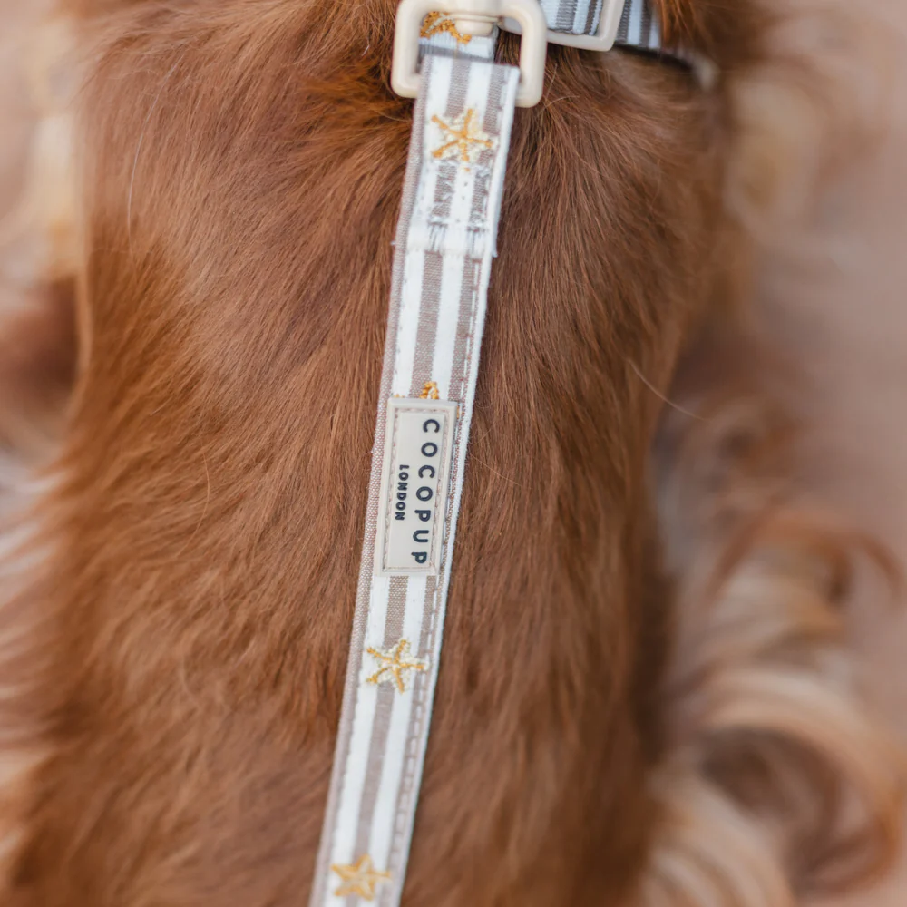Sandy Starpaws Lead - Image 4