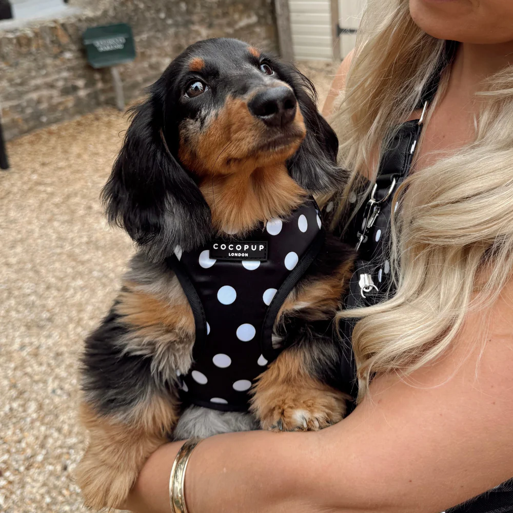 Polka Dot Adjustable Neck HARNESS - Image 5