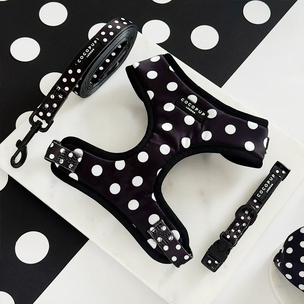 Polka Dot Lead - Image 2