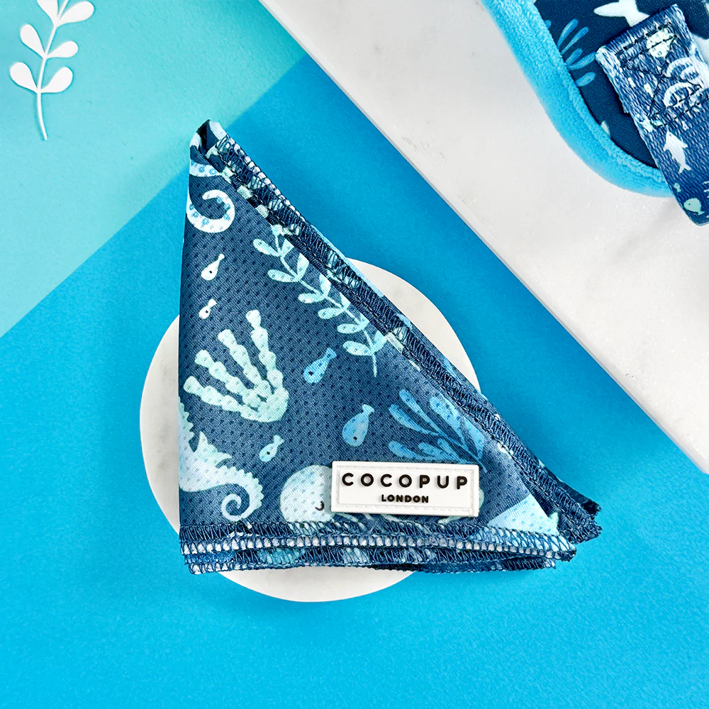 Sea Life Pawty Bandana - Image 2