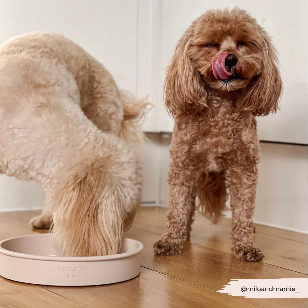 Slow Feeder Lick Dog Bowl - Baby Pink Flowers - Image 6