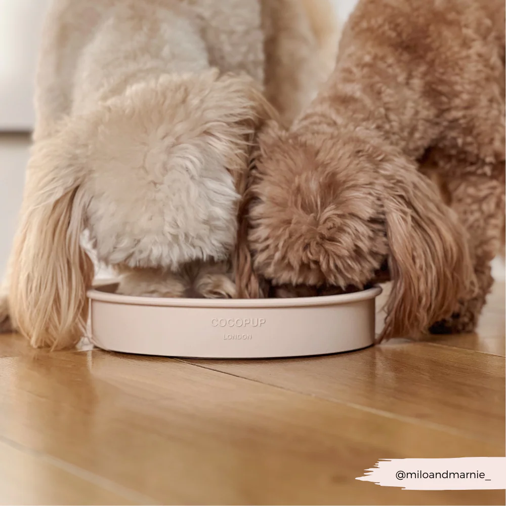 Slow Feeder Lick Dog Bowl - Baby Pink Flowers - Image 9