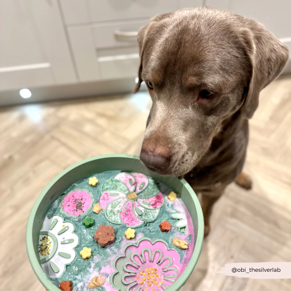 Slow Feeder Lick Dog Bowl - Sage Flowers - Image 11