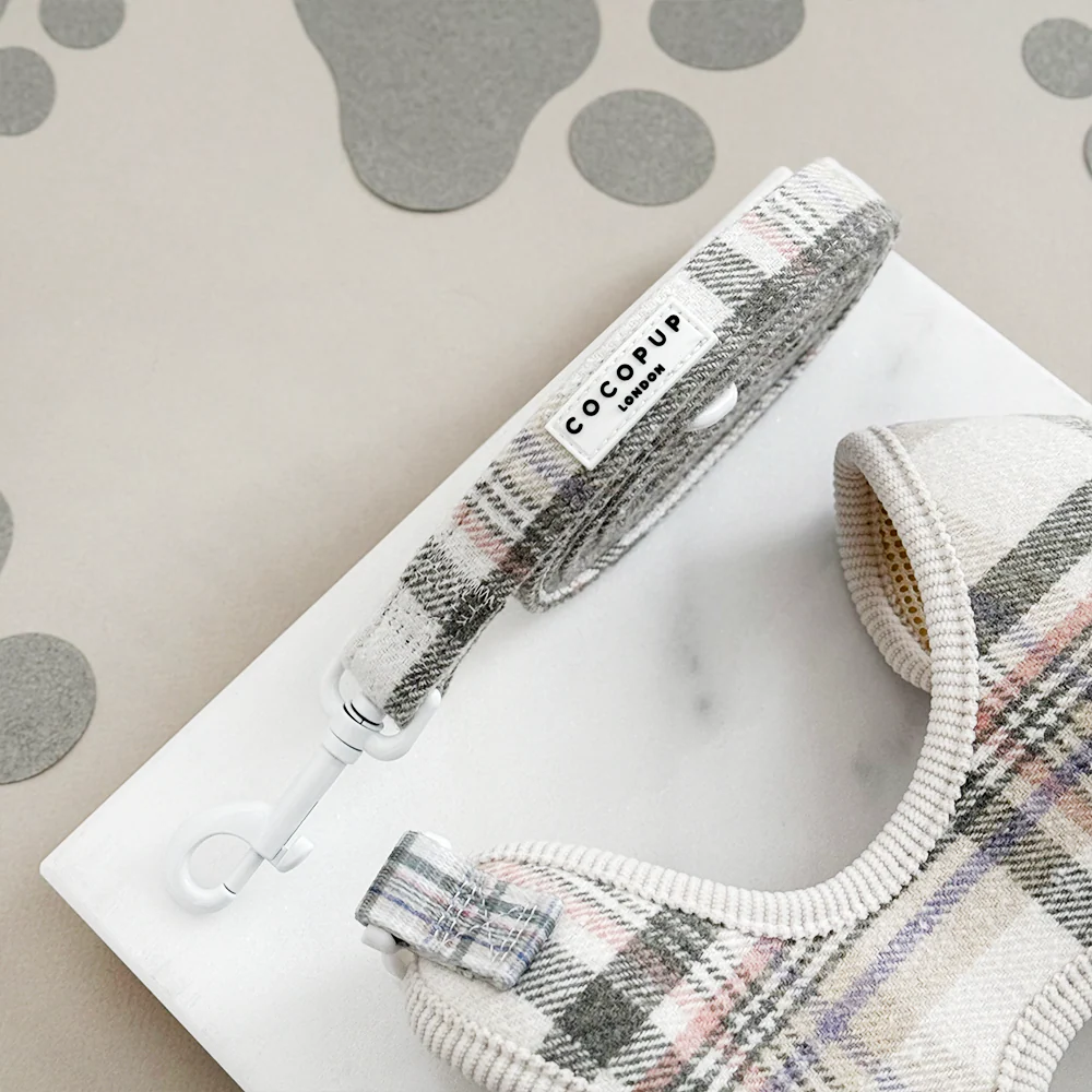 Oxford Plaid Lead