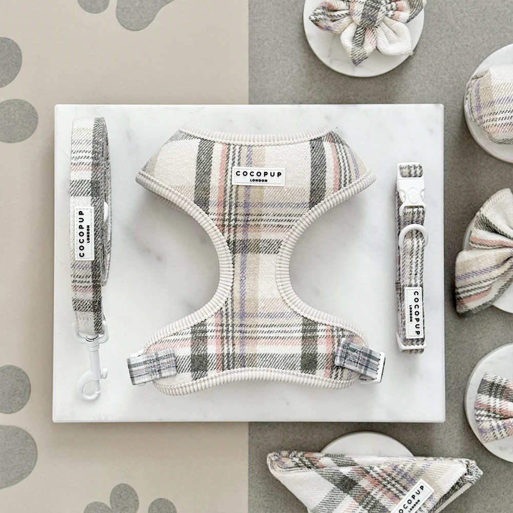 Oxford Plaid Lead - Image 2