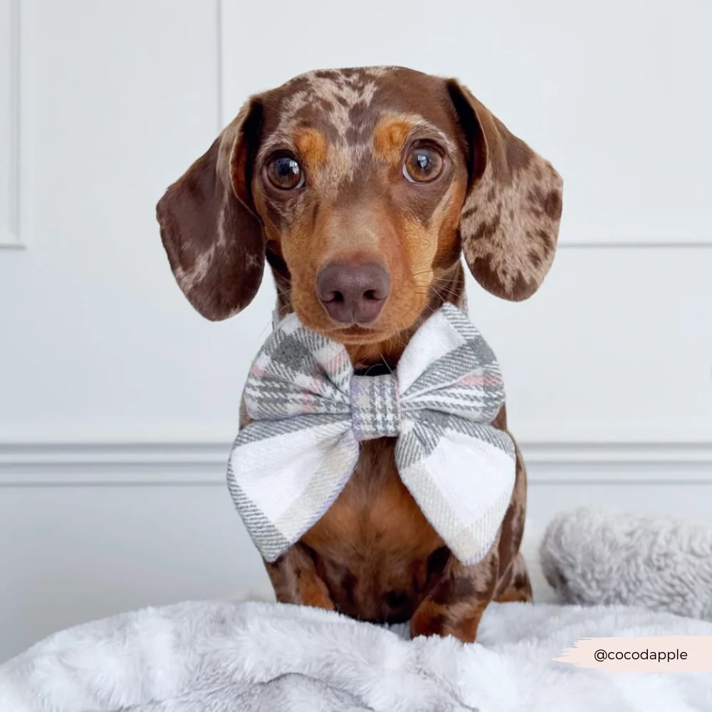 Oxford Plaid Sailor Bow Tie - Image 9
