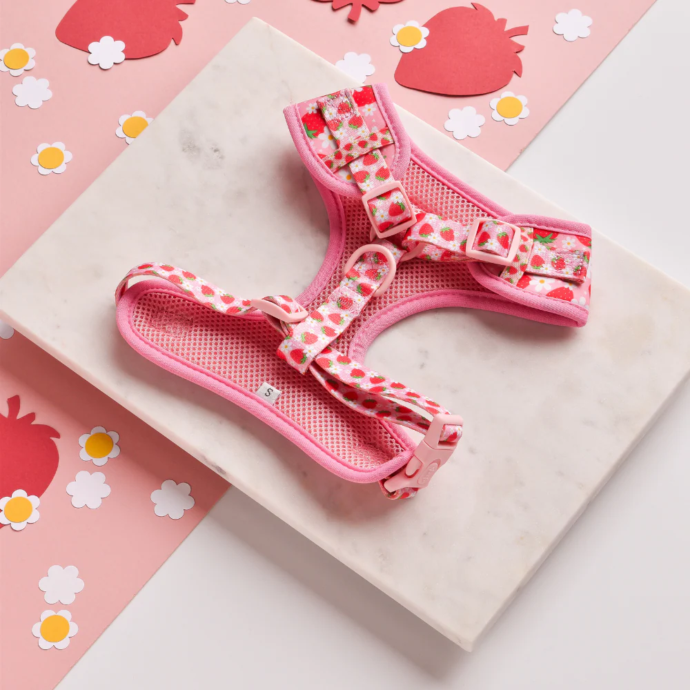 Pupberry Fields Adjustable Neck HARNESS - Image 2
