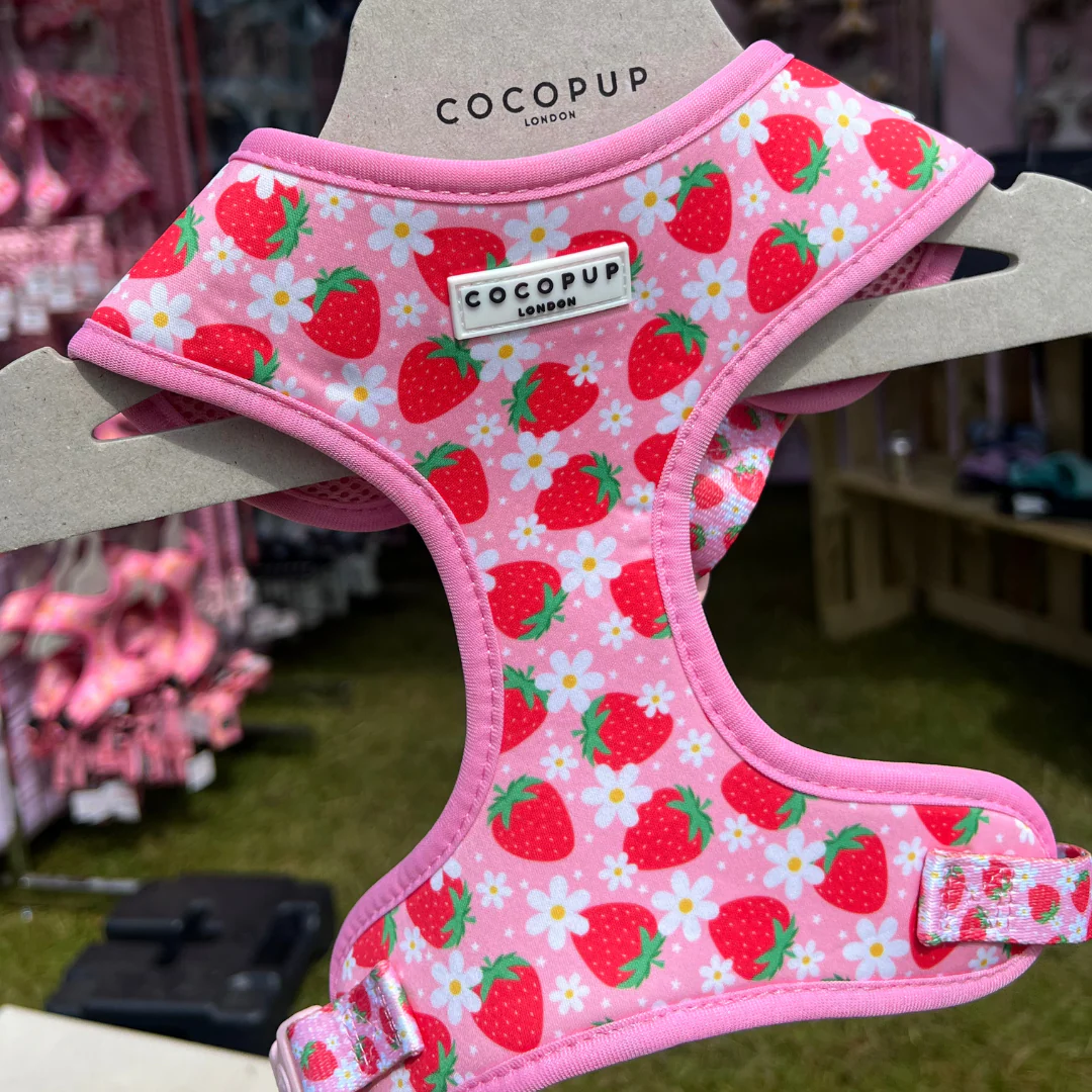 Pupberry Fields Adjustable Neck HARNESS - Image 24