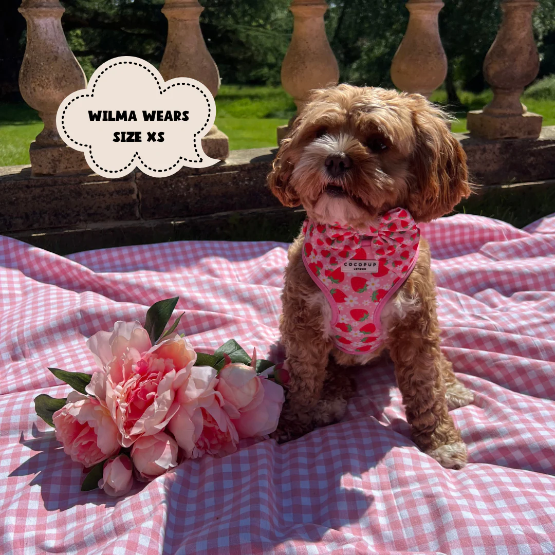 Pupberry Fields Adjustable Neck HARNESS - Image 9