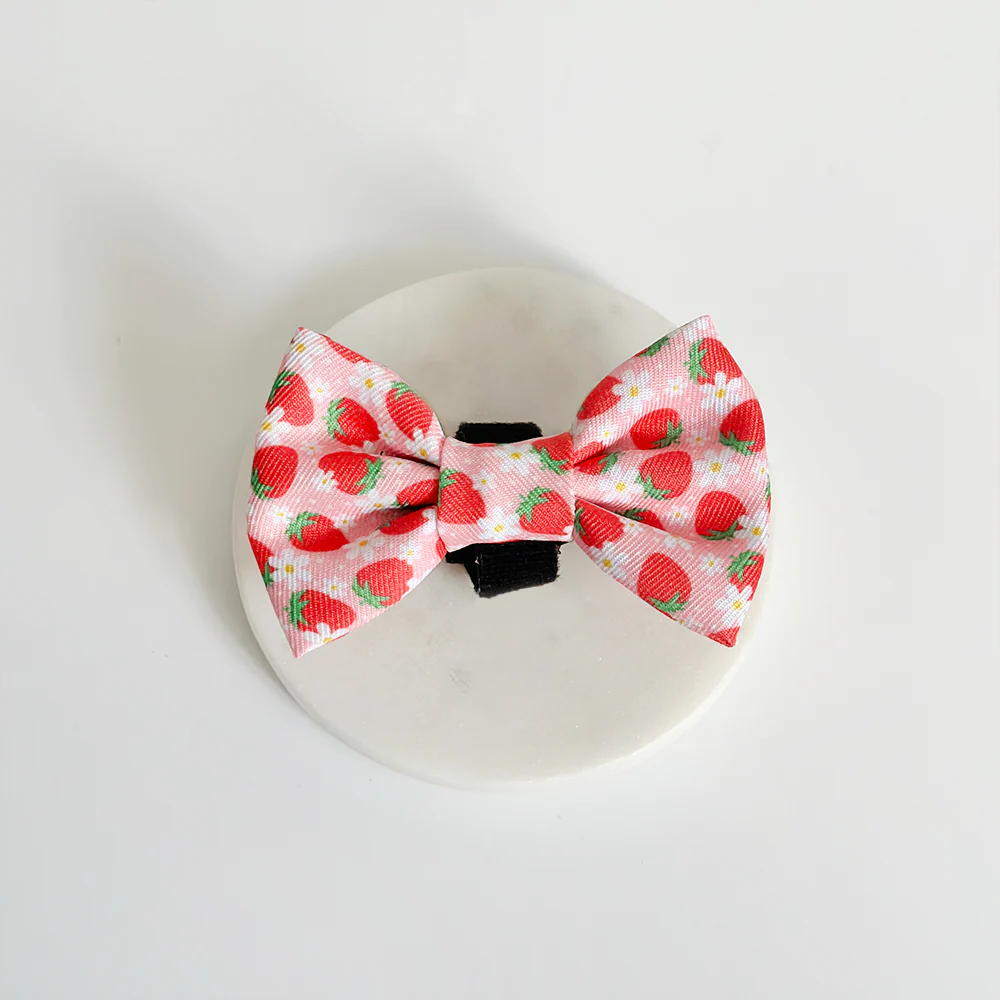 Pupberry Fields Bow Tie - Image 2