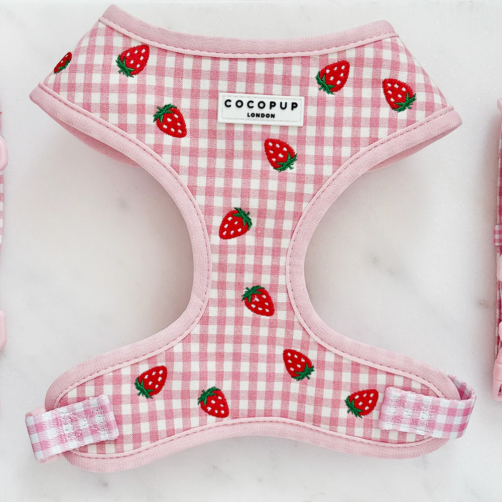 Strawberry Picnic Pup Adjustable Neck Harness, Lead & Collar Bundle - Image 3