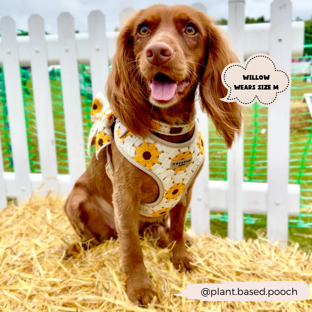 Sunflower Patch Adjustable Neck HARNESS - Image 10