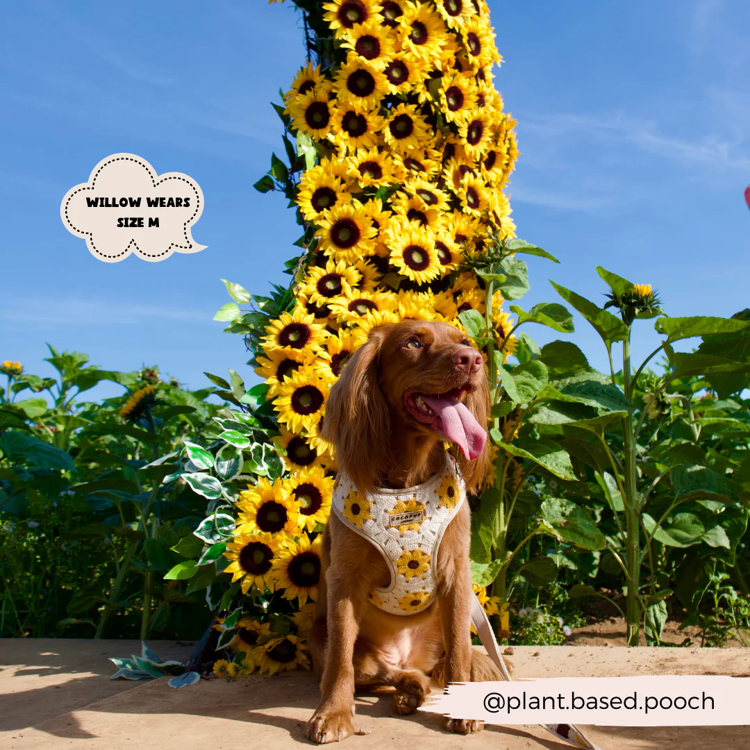 Sunflower Patch Adjustable Neck HARNESS - Image 12