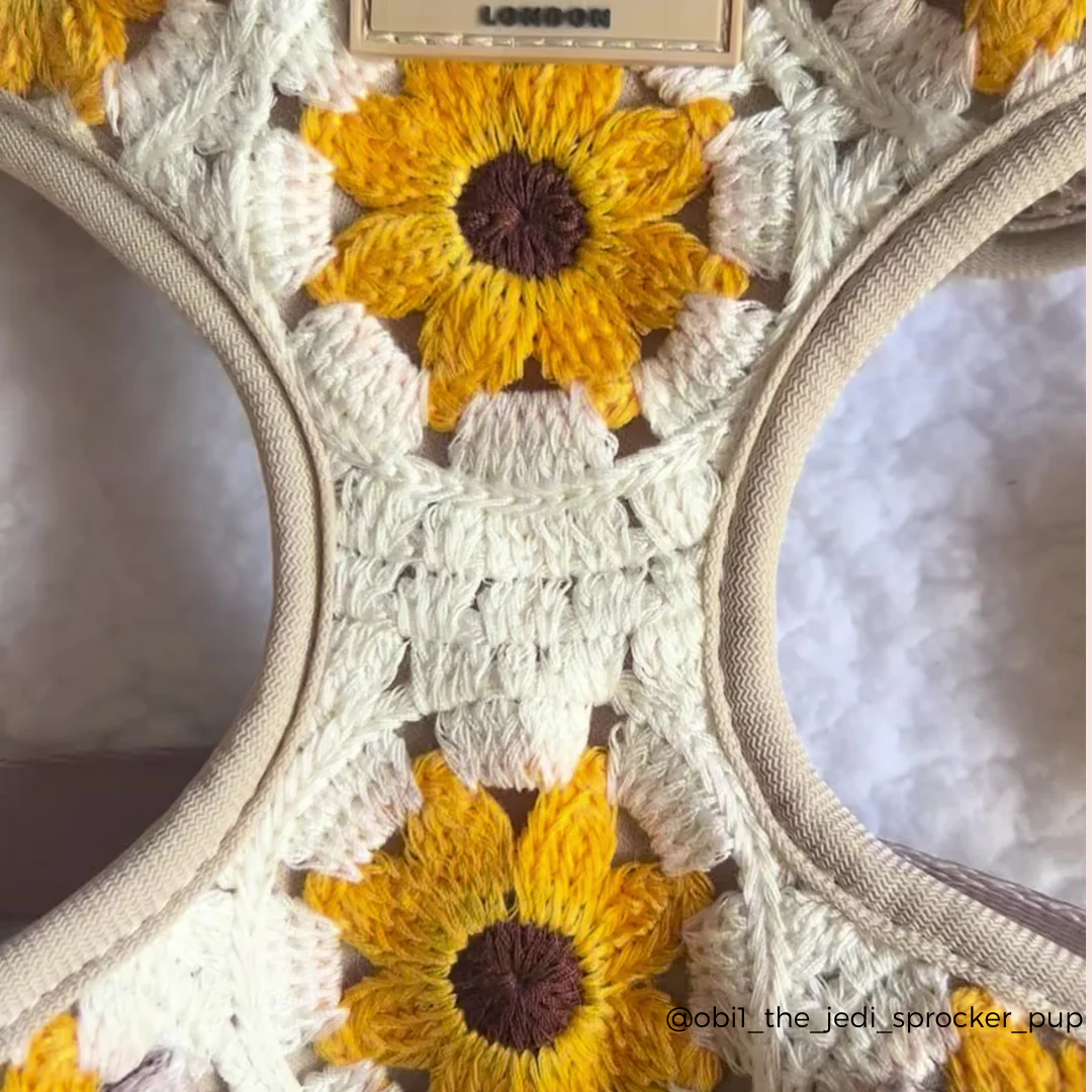 Sunflower Patch Adjustable Neck HARNESS - Image 15