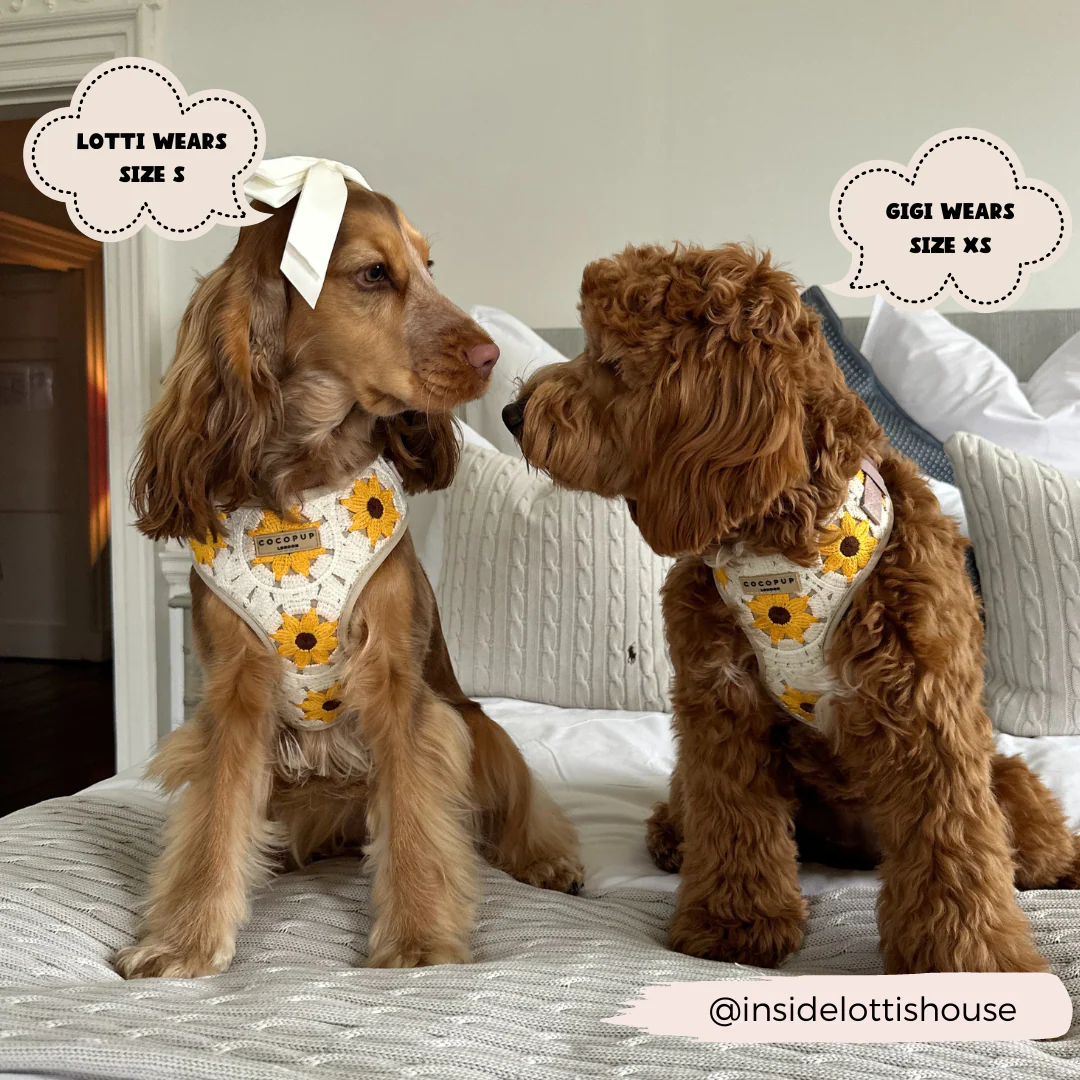 Sunflower Patch Adjustable Neck HARNESS - Image 18