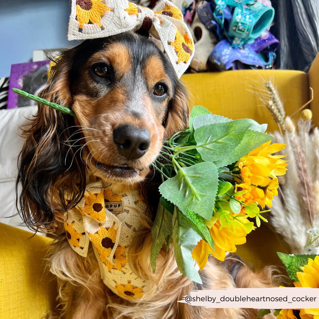 Sunflower Patch Adjustable Neck HARNESS - Image 19