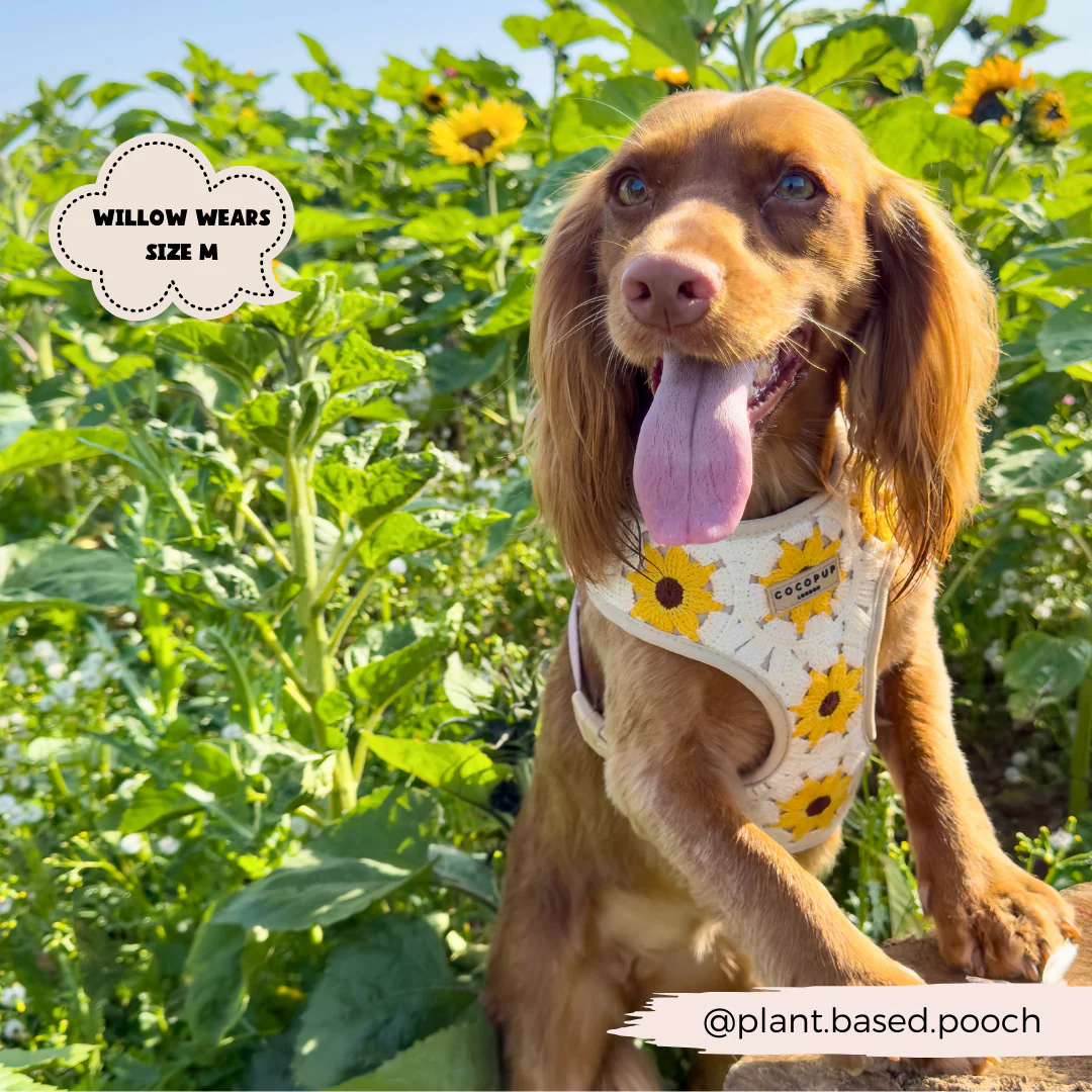 Sunflower Patch Adjustable Neck HARNESS - Image 22