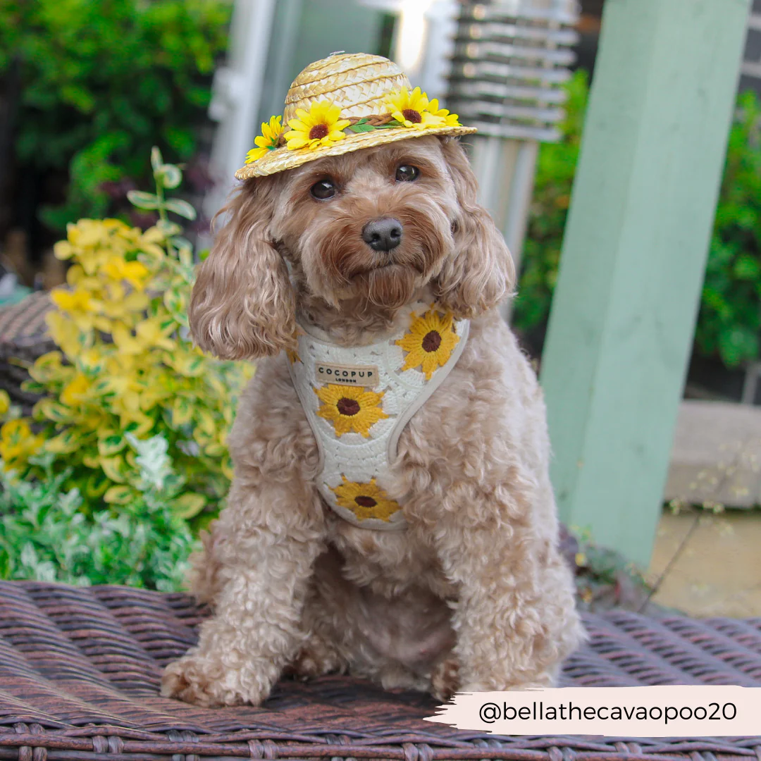 Sunflower Patch Adjustable Neck HARNESS - Image 23