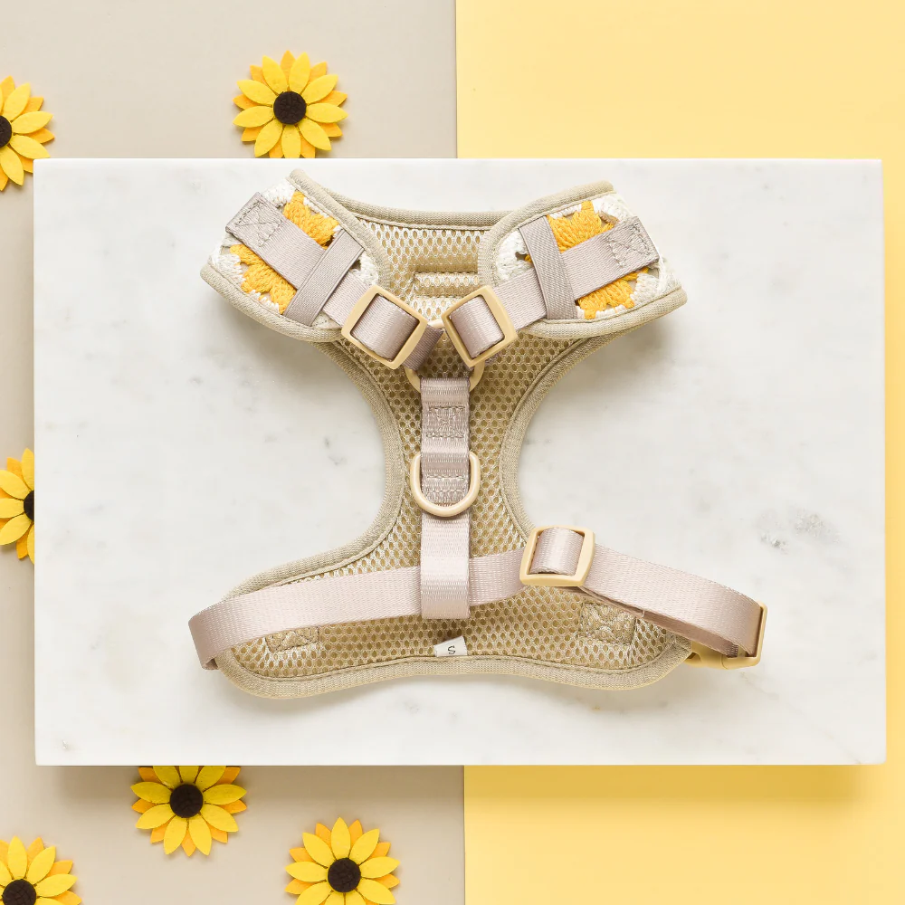 Sunflower Patch Adjustable Neck HARNESS - Image 3