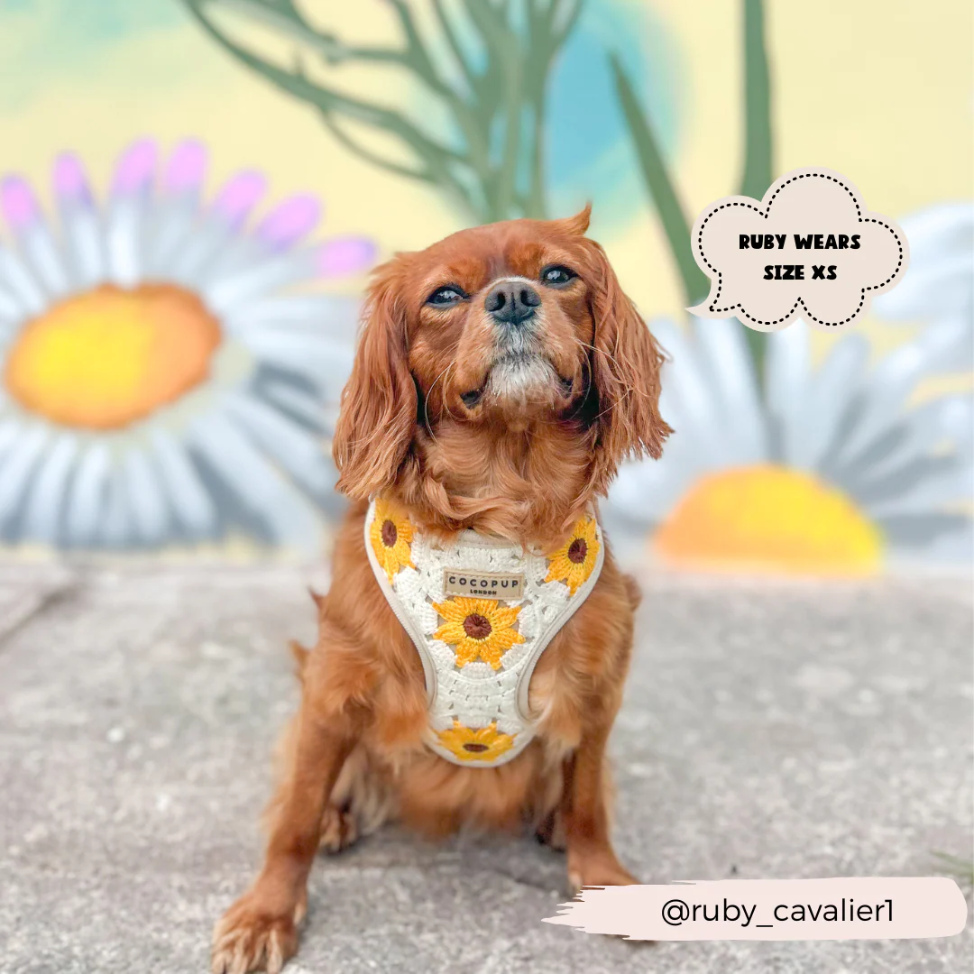 Sunflower Patch Adjustable Neck HARNESS - Image 5
