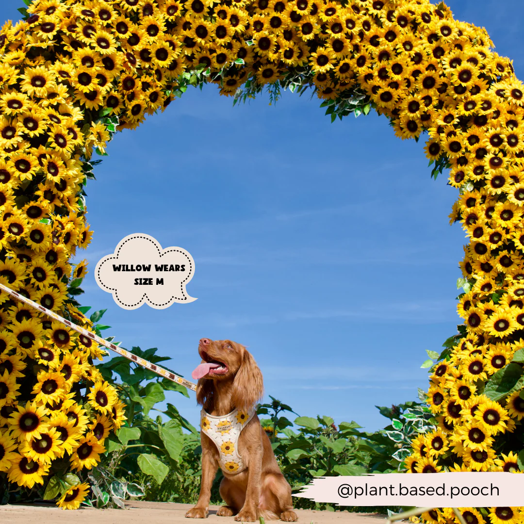 Sunflower Patch Adjustable Neck HARNESS - Image 6