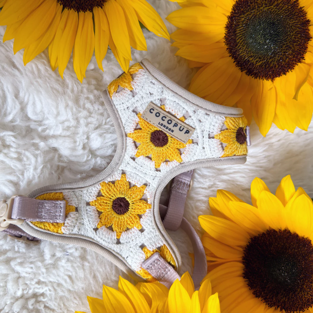 Sunflower Patch Adjustable Neck HARNESS - Image 7