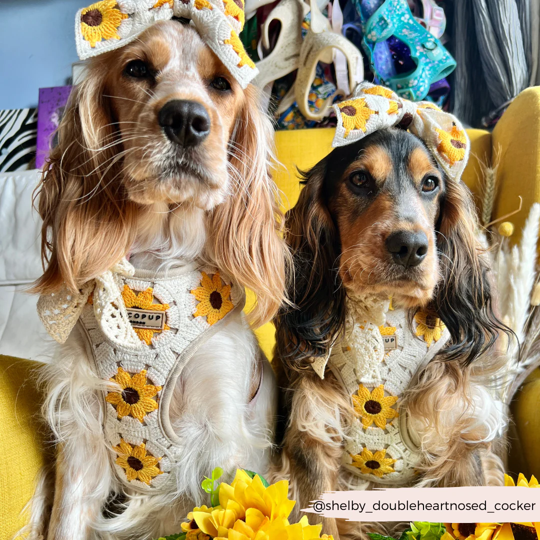 Sunflower Patch Sailor Bow Tie - Image 6