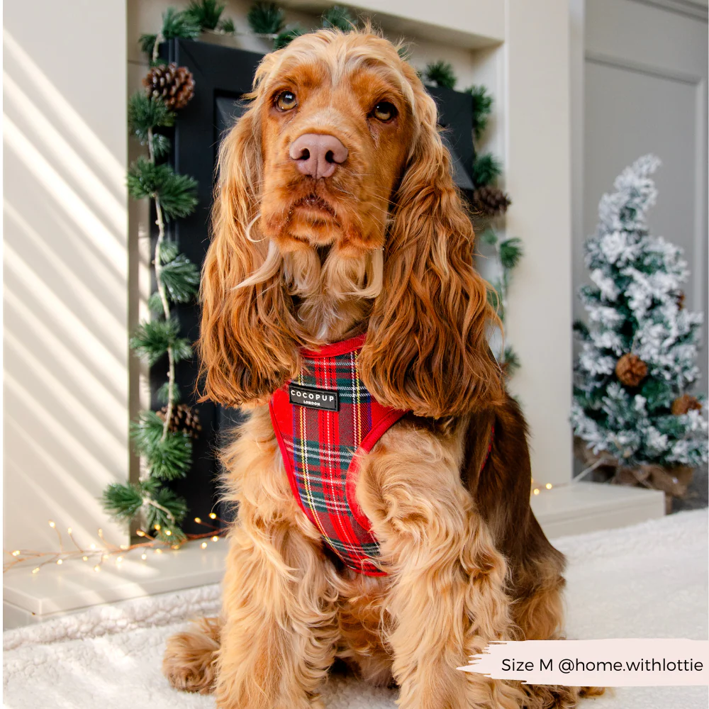 Tartan Adjustable Neck HARNESS - Image 10